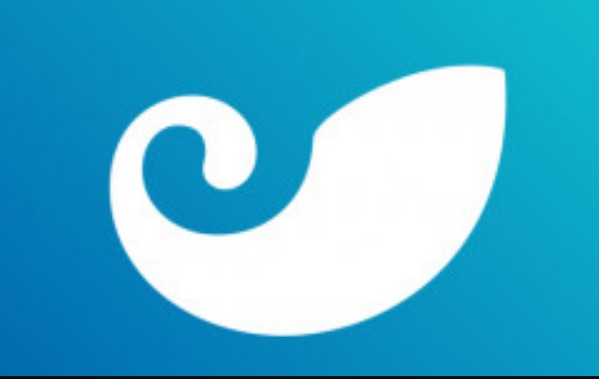 token钱包300usdt(token钱包怎么样)
